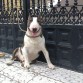 despues de estar 1 hora de marcha